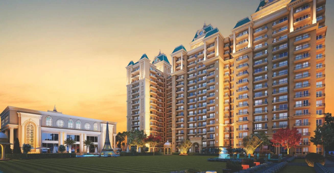 Ambika La Parisian - 1.jpg