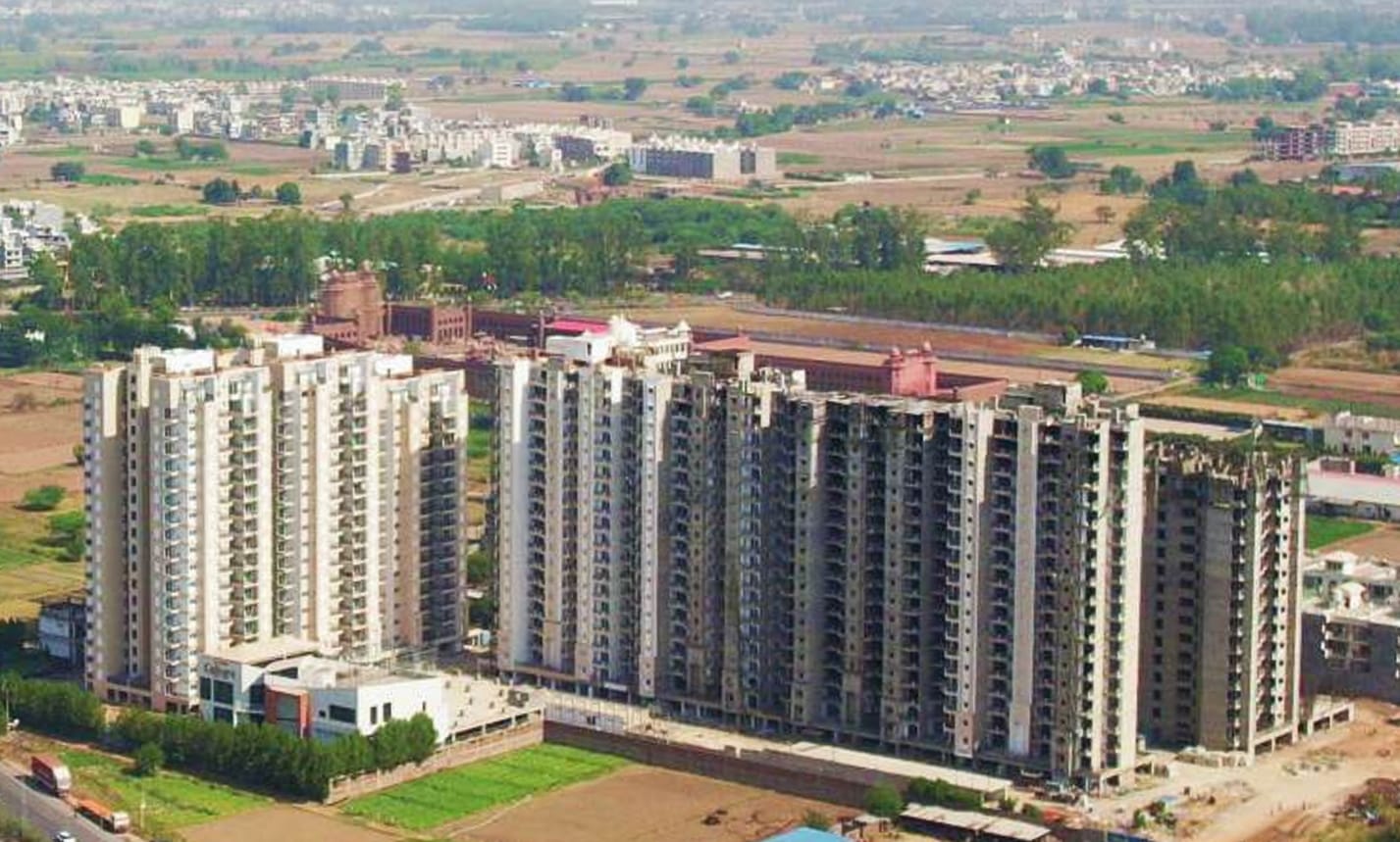 Escon Primera - 1.jpg